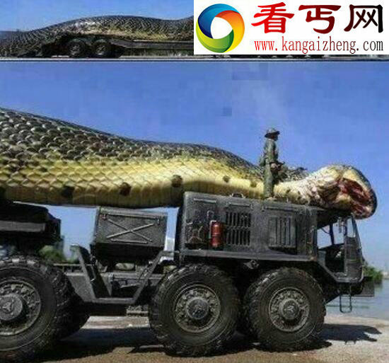世界上最大的蛇，红海巨蛇据传长500米(虚假骗局)