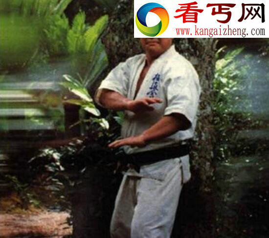 世界七大武术家竟有三个日本人，李小龙第一名当之无愧