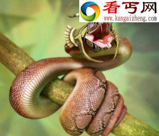 世界上最长寿的蛇——绿茸线蛇，能活20万年竟是小说杜撰