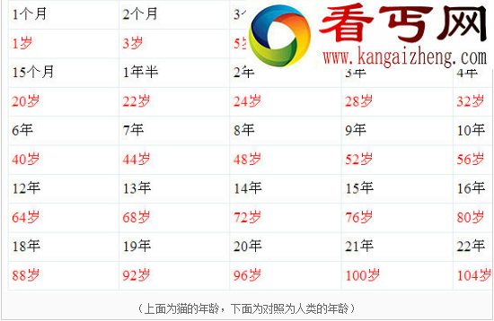 猫的寿命有多长，世界上寿命最长的猫（38岁）