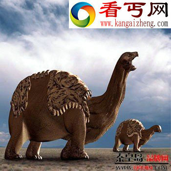 世界上最大的乌龟（象龟）