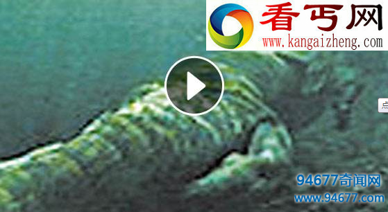06年真龙吃人的照片，据记载龙是存在的