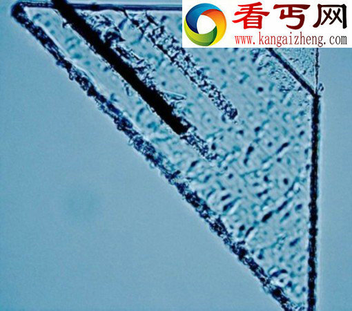 科学家捕获系外尘埃有助了解星系演化