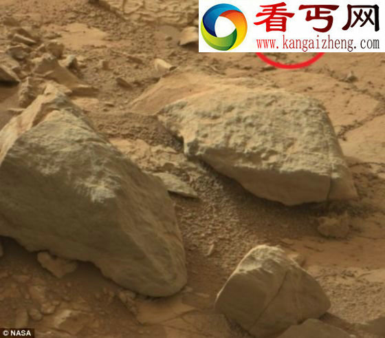 神秘火星物体是鬣蜥化石吗