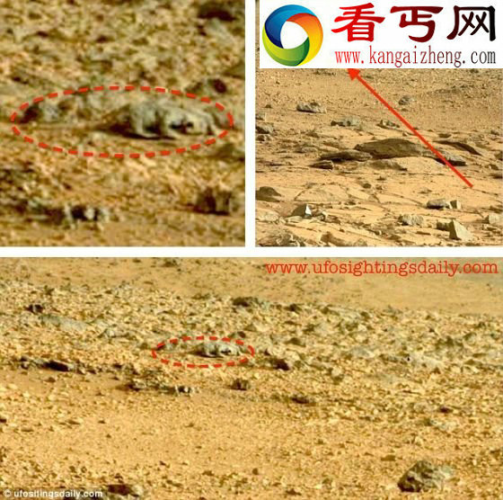 神秘火星物体是鬣蜥化石吗