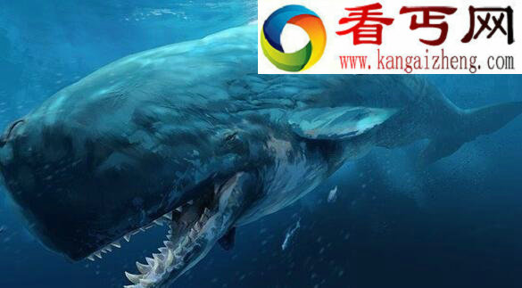 远古巨兽梅尔维尔鲸，大白鲨仅仅是它小菜一碟