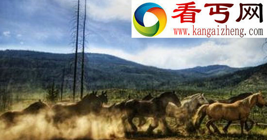 诡异的昆仑山地狱之门，尸骸遍地无人敢闯