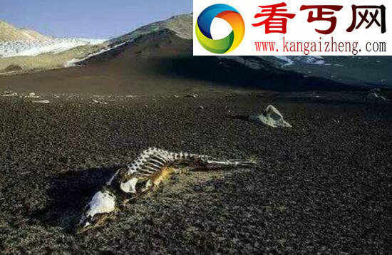 探索真实的美国死人谷之谜，堪称“人间地狱”的死亡之地
