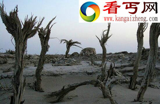 探索真实的美国死人谷之谜，堪称“人间地狱”的死亡之地