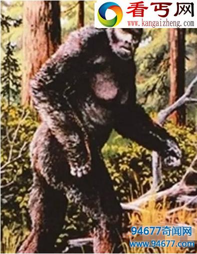 澳洲野人幽威，神秘的灵长类生物（身高3米）