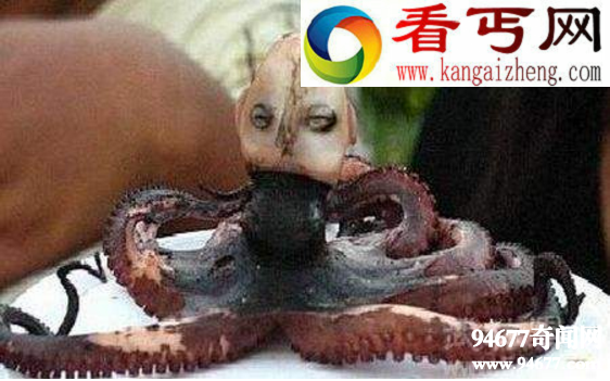 世界十大罕见生物,印尼章鱼人(人头章鱼身)