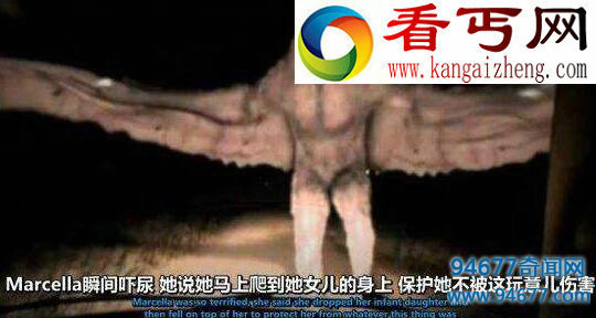世界十大罕见生物，印尼章鱼人(人头章鱼身)