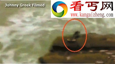 全球著名十大海怪 蓝圈章鱼