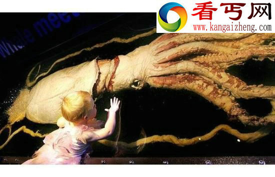 全球著名十大海怪 蓝圈章鱼