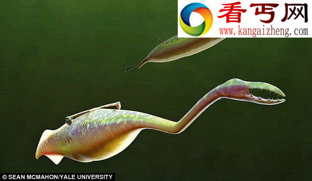科学家3亿年前塔利怪物与七鳃鳗关系近