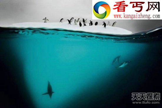 南极洲的20个惊人秘密90%国人不知道
