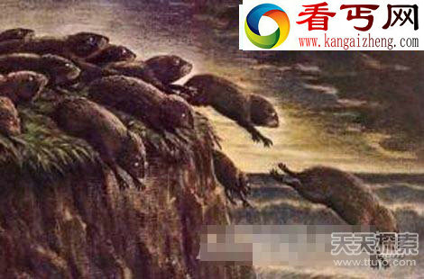 领略动物界中无解的神秘现象