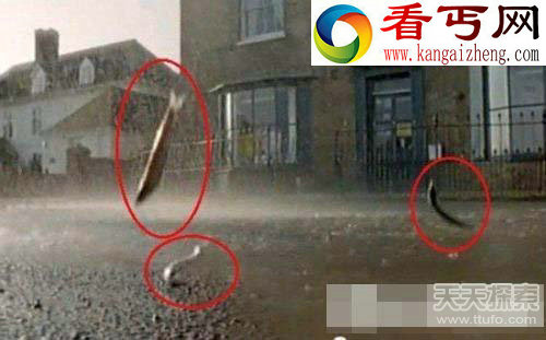 领略动物界中无解的神秘现象