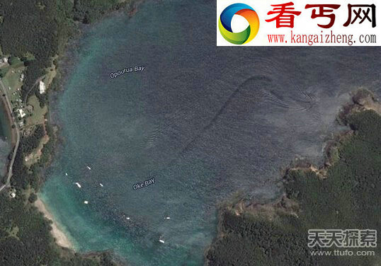 谷歌捕获不明生物 全球神秘水怪大曝光