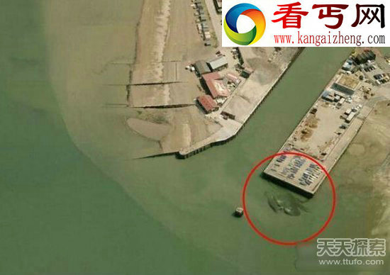 谷歌捕获不明生物 全球神秘水怪大曝光