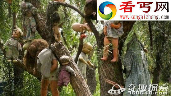 世界上超级最恐怖的五大森林