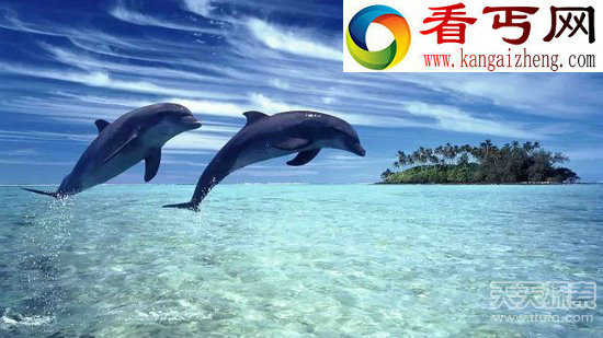十大海底生物事实 乌贼竟用脑袋消化