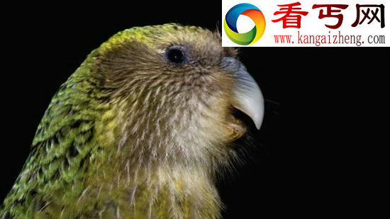 如果世界只剩一男一女 人类数量还能恢复吗