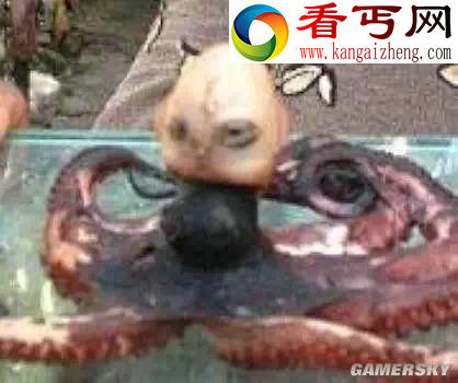 世界最罕见最奇特的异型生物