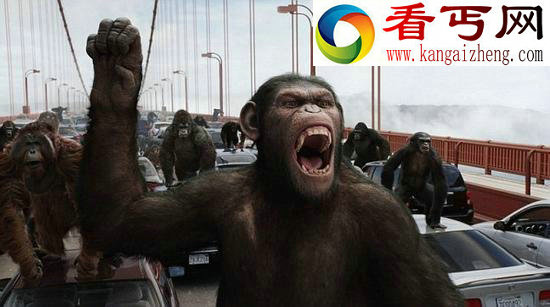 人类灭绝5000万年后谁接管地球？灵长类？难