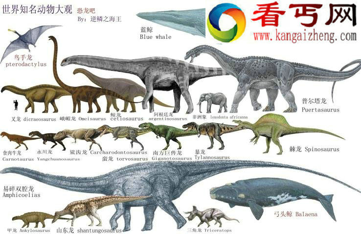恐龙灭绝的原因，发现了3000多具恐龙化石！