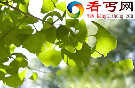 自然界的十大活化石 已有1.34亿年