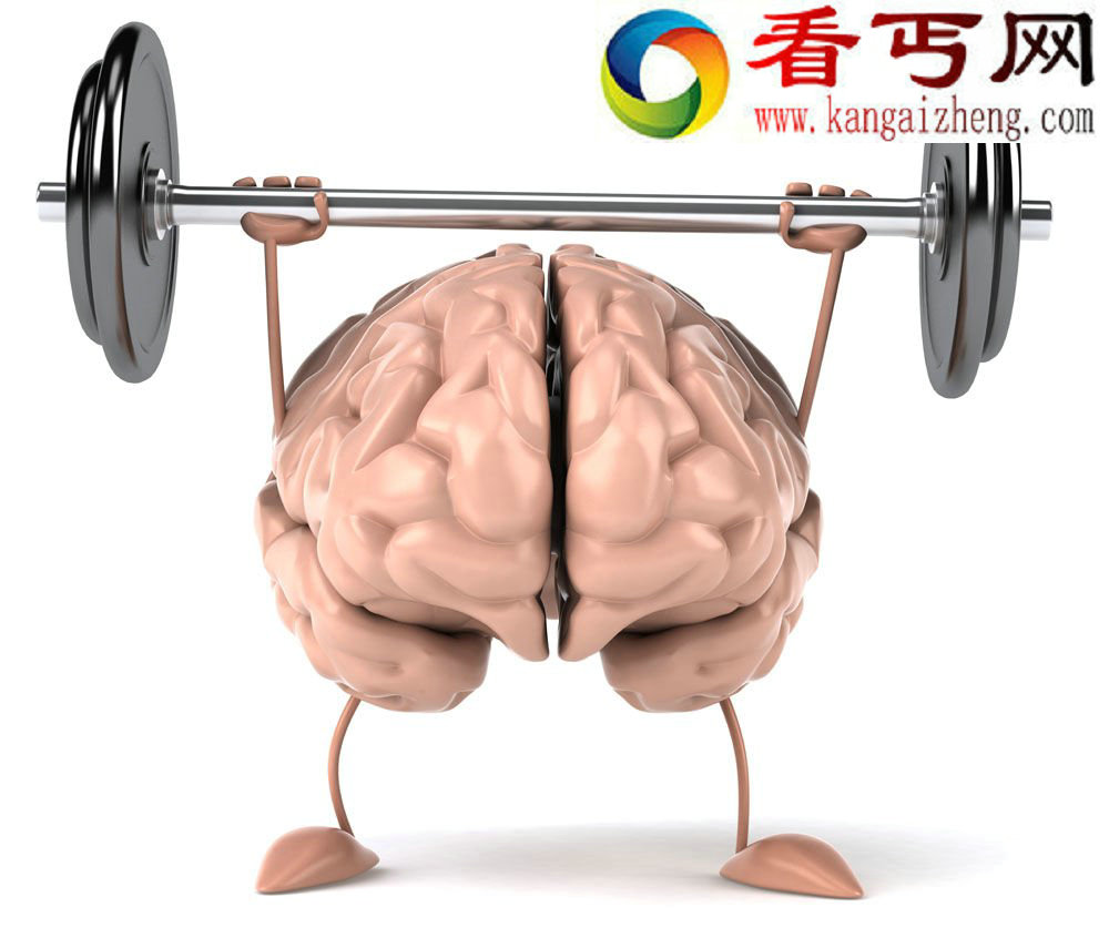 左脑右脑无主导