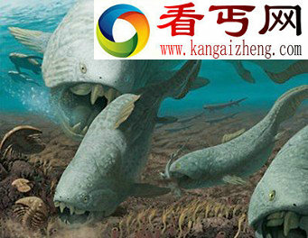 盘点凶猛的史前巨兽猪体形像犀牛，拥有极具破坏性牙齿