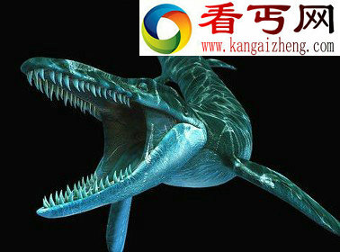 盘点凶猛的史前巨兽猪体形像犀牛，拥有极具破坏性牙齿