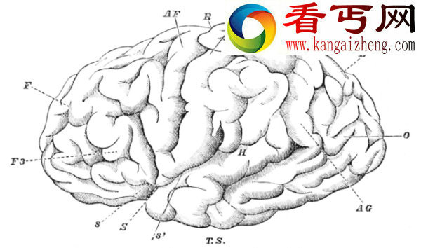 所有人都易受“虚假记忆”的影响 眼见不一定为实