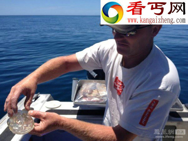 捕鱼爱好者钓到神秘透明虾
