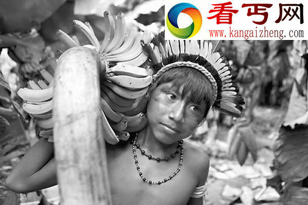研究亚马逊可帮助了解古人对森林影响