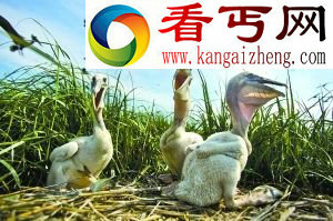 全球升温或将在2047年成高温临界点