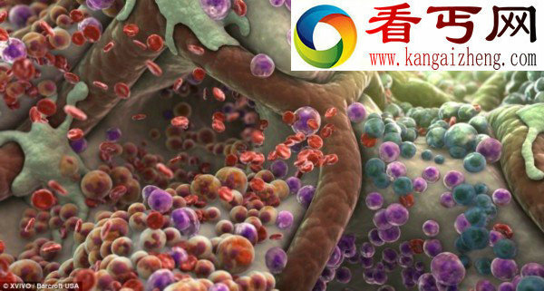 放大千万倍3D人体内部世界犹如外星球(图)