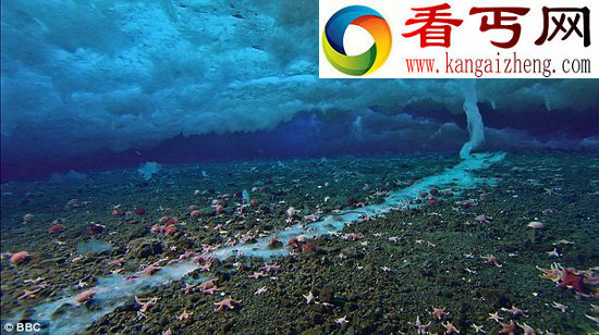 极地海洋 发现孕育地球生命诞生的“死亡冰柱”