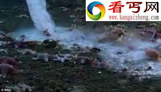 极地海洋 发现孕育地球生命诞生的“死亡冰柱”