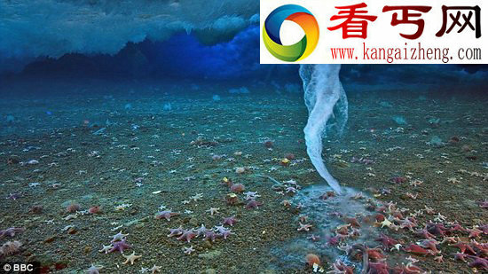 极地海洋 发现孕育地球生命诞生的“死亡冰柱”
