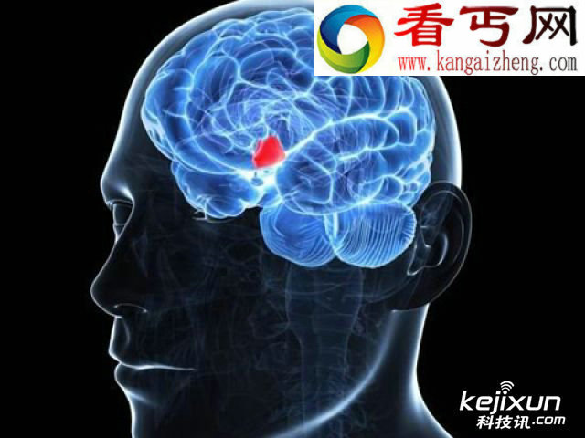 下丘脑秘密解读 或可延长寿命20%