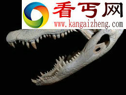 为什么鳄鱼终生都能换牙?