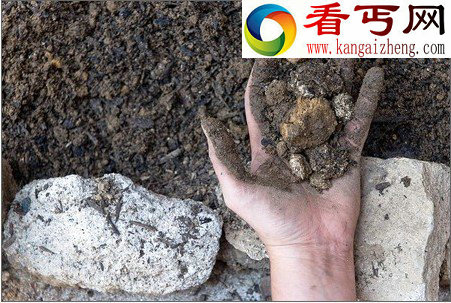 地球奇闻地球鲜为人知的秘密