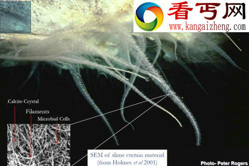 澳洲神秘洞穴发现隔绝阳光“外星微生物”