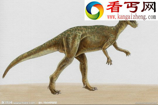 恐龙灭亡的7种观点