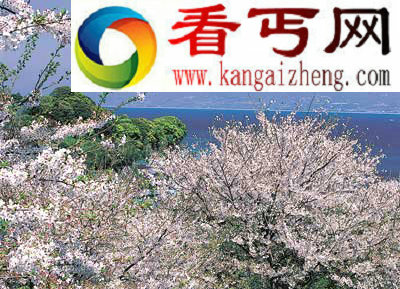 全球变暖七大可怕惊人后果