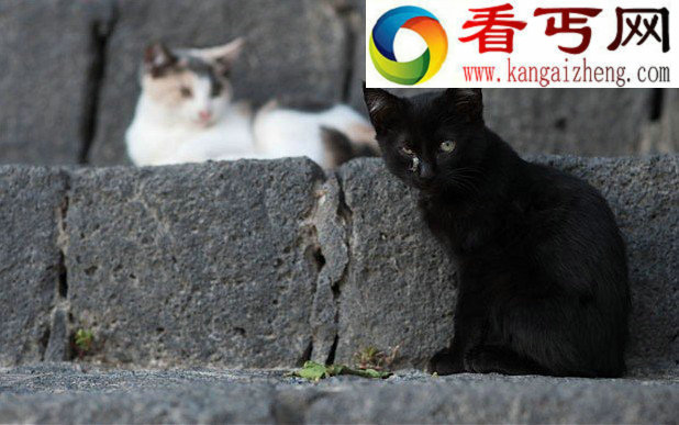 地球上最稀奇怪异的岛屿
