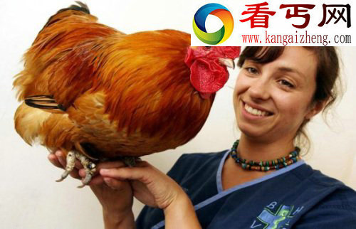 盘点动物奇闻俄罗斯熊会吹喇叭